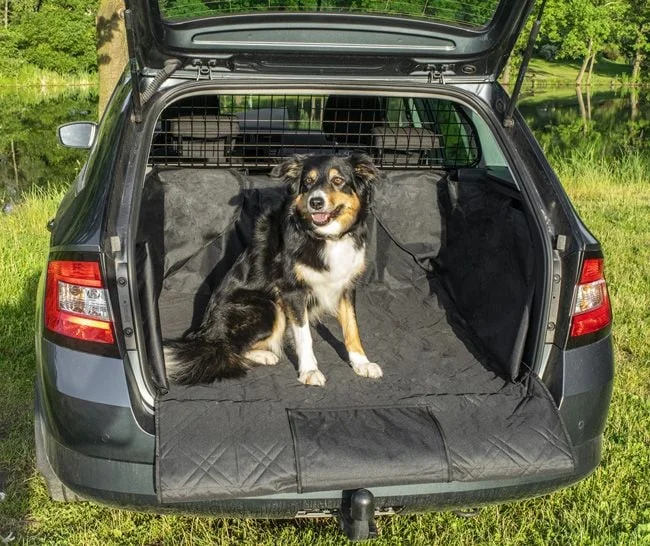 2026_05_27_1558436